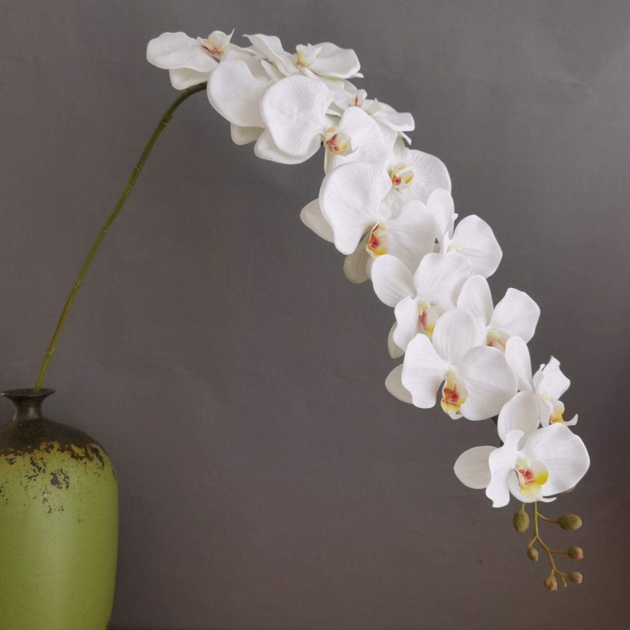 3D print simulates the feel of 13 large phalaenopsis