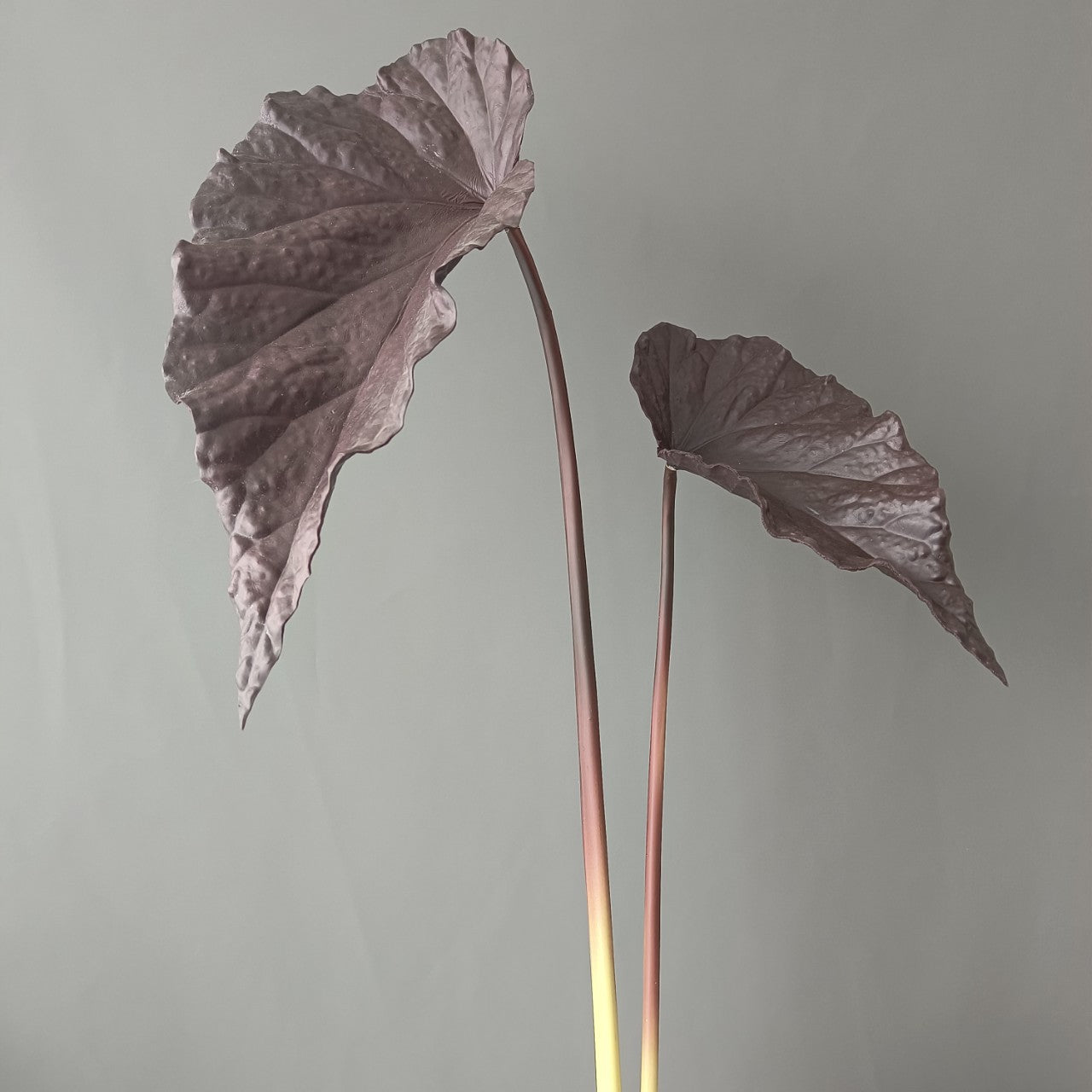 3D Print PU Autumn Begonia Leaves