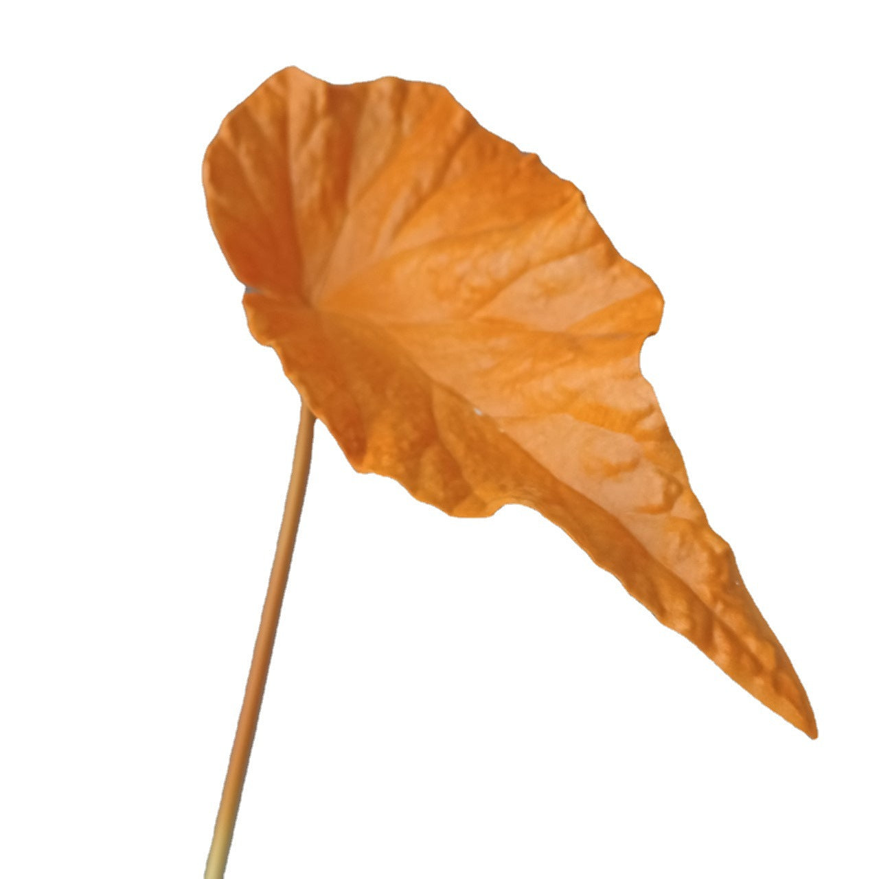 3D Print PU Autumn Begonia Leaves