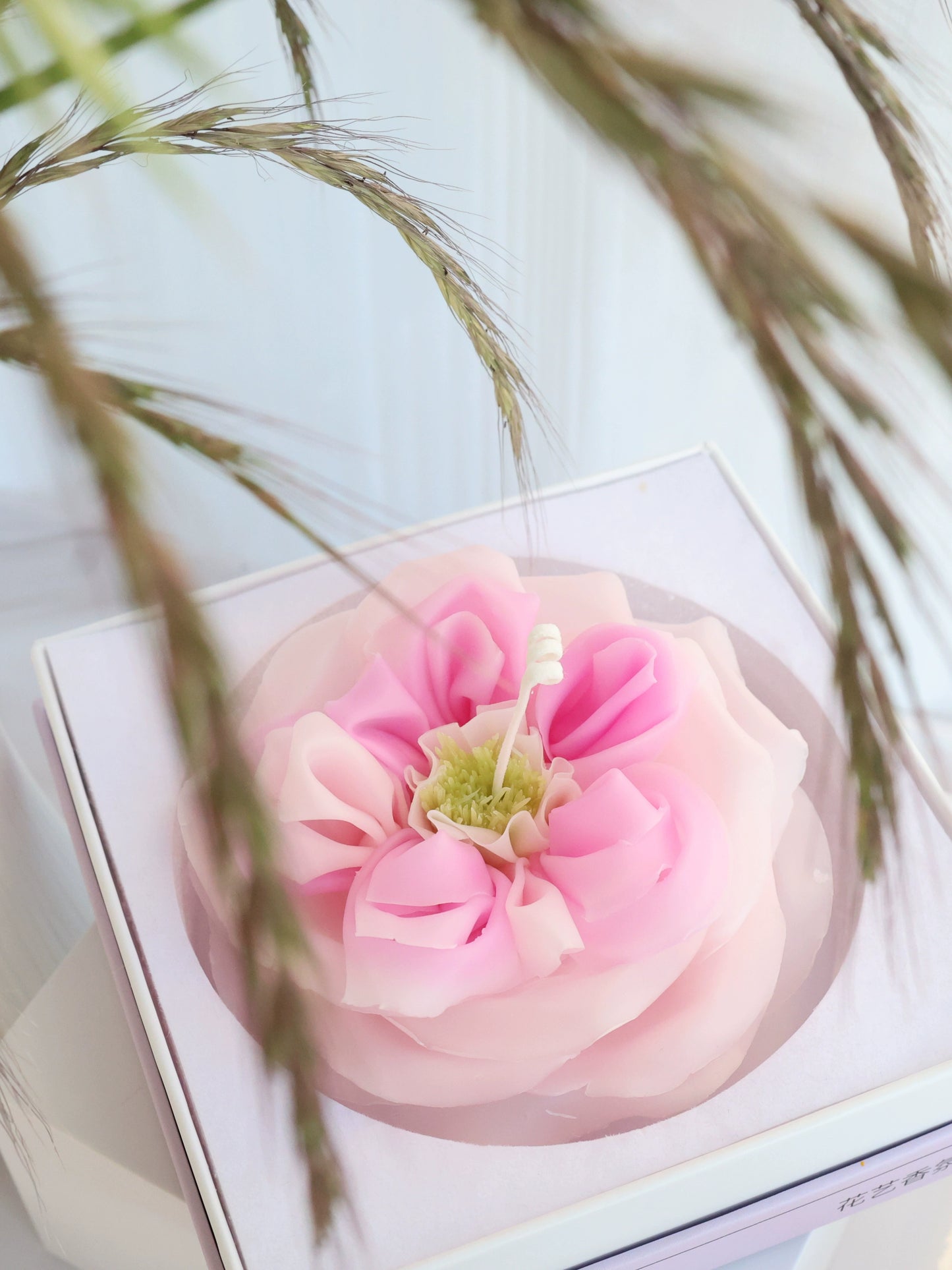 Austin Rose Scented Candle Gift Box Gift