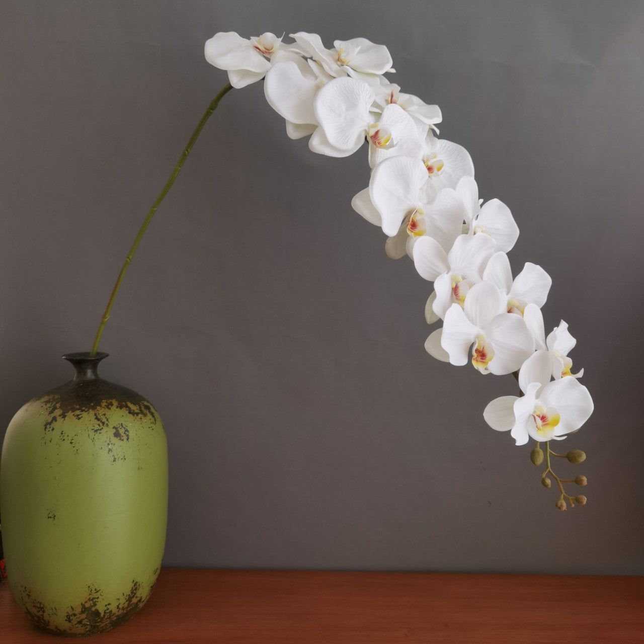 3D print simulates the feel of 13 large phalaenopsis